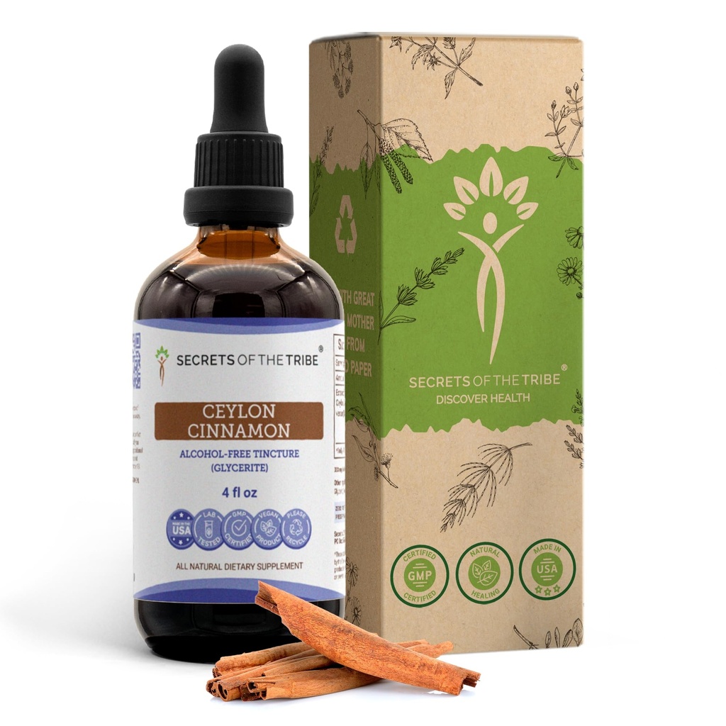 Tajemnice Tribe Ceylon Cynamon Tincture Free Alcohol Liquid Extract, Ceylon Cynamon (Cinnamomum Verum) Suszony Bark (4 FL OZ)