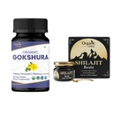 ORGANIC SPREE Gokshura & Himalayan Shilajit - USDA Organic Tribulus Terrestris 120 Tablets & 20g Resin with 85 + Trace Minerals - Wsparcie energii i zdrowia immunologicznego *