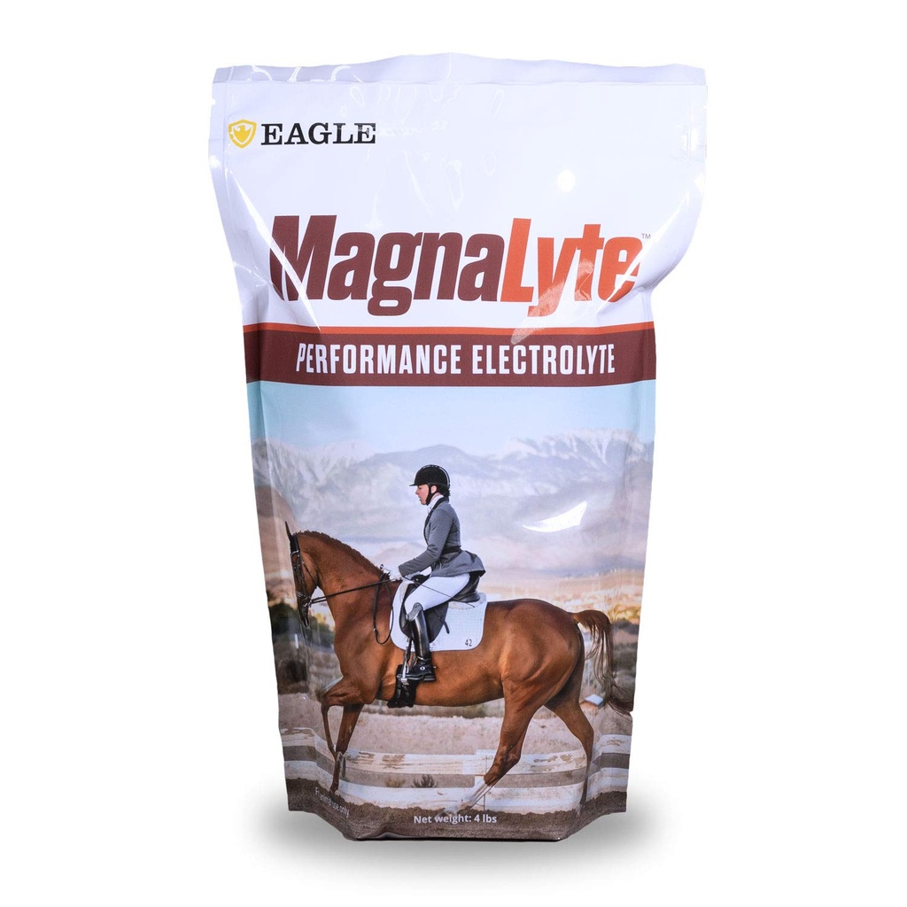 MagnaLyte Loose Salt and Electrolytes for Horses by Eagle Equine | Mineral sea Salt, Trace Minerals, Electrolytes | 4 lb Bag