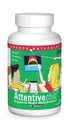 Źródło Naturals Attentive Child - Zdrowe odżywki dla aktywnych dzieci - Ulepszona koncentracja i uwaga z DMAE, Magnezu, Cynk & Grape Seed Extract - 60 tabletek