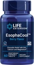 Extract Life Extension Esparance Cool - Gut Health Supplements with Calcium, Magnezu & DGL Licorice Root for Healthy Destination Stomach Relief & PH Balance - Gluten- Free, Wegetarianin - 60 Tabletki do żucia