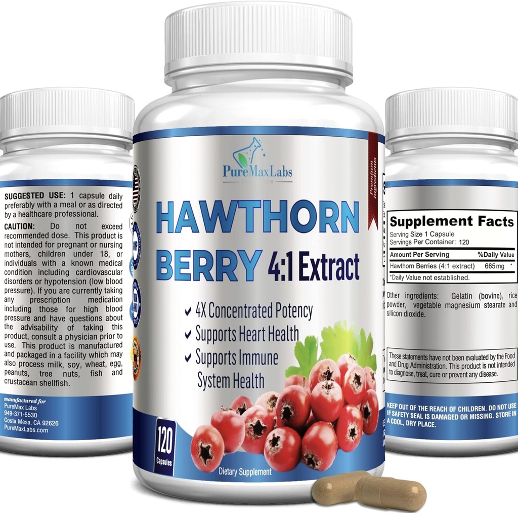Hawthorn Berry 4: 1 Ekstrakt (120 kapsułek) Wsparcie układu immunologicznego, Super Antioksydant, Hawthorn Berry Kapsułki skoncentrowane z 2660mg Jagody