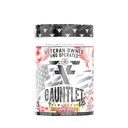 Gauntlet Pre- Workout Powder, Explosive Workouts, Laser Focus, Mid Stim, Amazing Flavor, Weteran Owned and Operated, Packaging May Vary (25 Służenia, Strawberry Banana)