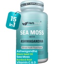Herbtonics Sea Moss, Black Seed Oil, Ashwagandha, Burdock Root & ACV Complex Downloader 124; Boost Immunitet, Reduce Stress, Support Diseasure Oil 124; All- in- One SeaMoss Capsules