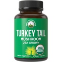Peak Performance Organic Turkey Tail Kapsułki - USA dorosły Made with Real Turkey Tail Mushroom. Immune System Support Natural Harderned Mushroom Supplements for Immunity. Ekstrakt suplementu wegańskiego