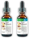 Morter Trace Minerals in Colloidal Suspension (2 pack) Morter HealthSystem Best Process Alkaline - Nutricent Dense Trace Elements, Fulvic Minerals & Amino Acids