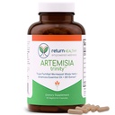Artemizja Trójca 124; Oczyszczanie dla dorosłych z Wormwood Herb & Artemisinin 30: 1 Wyciąg 124; Oporność & Pomocnictwo pokarmowe 124; Suplementy ziołowe 124; Czyste, Plant- Based, 90 Czapki