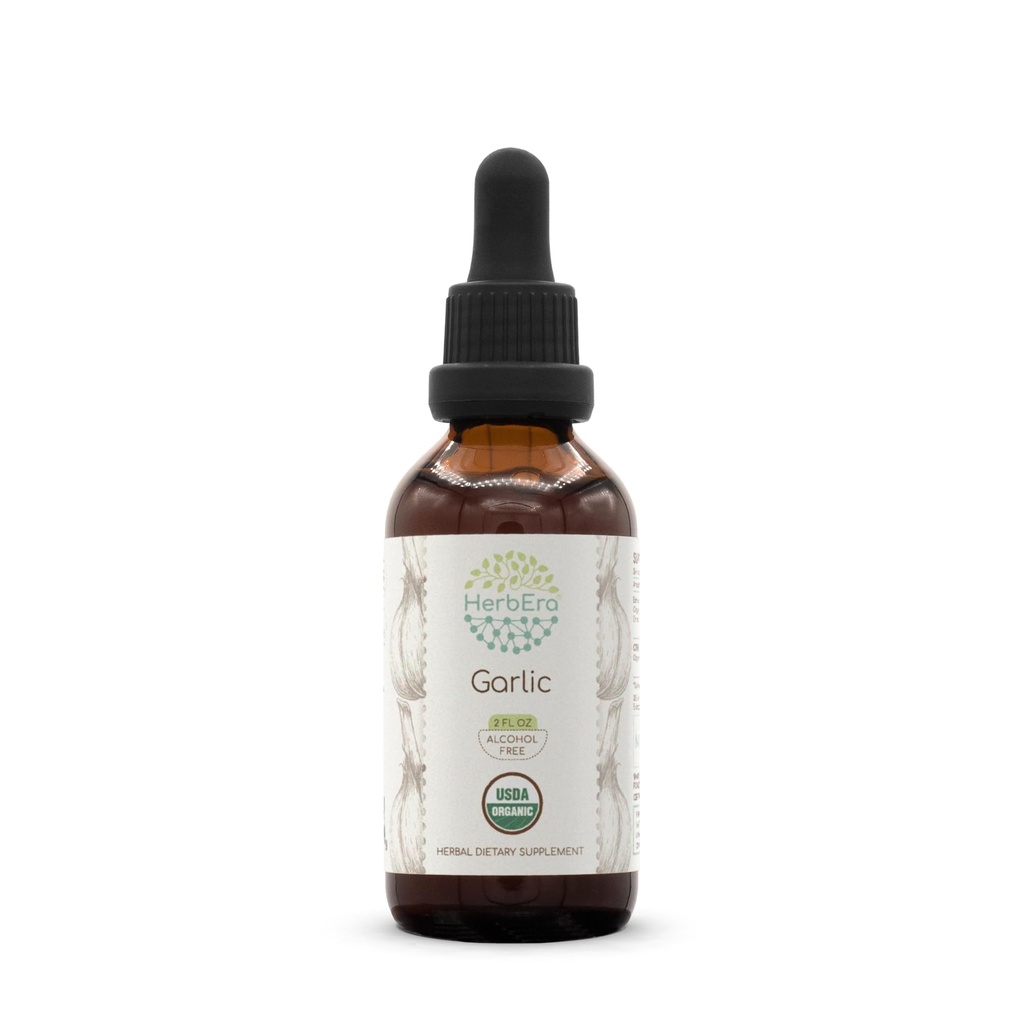 HerbEra Garlic USDA Organic Tincture | Alcohol-Free Extract, High-Potency Herbal Drops | Certified Organic Allium Sativum Dried Bulb (2 Fl Oz)