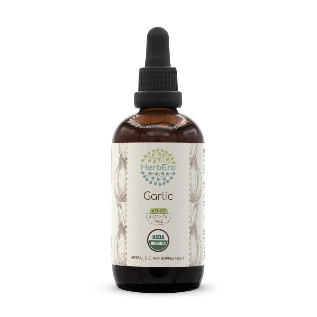 HerbEra Garlic USDA Organic Tincture | Alcohol-Free Extract, High-Potency Herbal Drops | Certified Organic Allium Sativum Dried Bulb (4 Fl Oz)