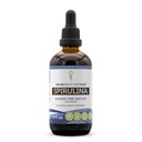 Tajemnice Tribe Spirulina wolny od alkoholu Liquid Extract, Spirulina (Arthrospira Platensis) Tincture Supplement (4 FL OZ)