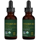 Global Healing Center - witamina B12 5000 µg, organiczne podjęzykowe krople płynne 124; 3- in-1 Methylcobalamina, Adenosylcobalamina, Hydroxo Blend, 1 Fl Oz (2- Pack)