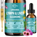 Liposomalne płyny limfatyczne krople, Detox i Naprawa Liposomalne Płynne Suplement z Ostrza Mlecznego, Dandelion, Burdock Root & Echinacea - Limph & Detox wątroby, Przeciwutleniacz, Natural Flavor 2 Fl Oz