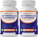 Witamatic Lactobacillus Plantarum - 20 Billion per DR kapsułki - 60 Count - Digestive Support - Made with Prebiotic Inulin Fiber-2 Pack