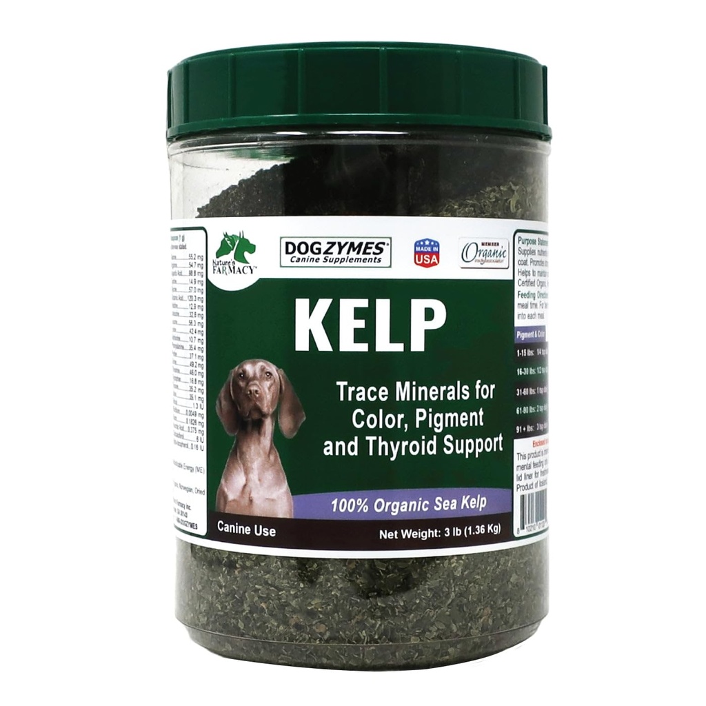 Dogzymes Organic Norweski Kelp dla zwierząt domowych, cenne źródło odżywcze bogate w jodynę do wspierania funkcji Gland, zwłaszcza Thyroid (3 funt)