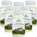 Active Hexose Corerelated Compound 1500 mg Supplement, Natural 8 Mushroom Extract Supplement, System immunologiczny, Funkcja wątroby, Natural Killer i T Cells Activity, 540 Veggie kapsułki