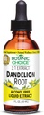 Wybór botaniczny Dandelion Root, Alkohol Free Liquid Extract- Tradycyjne wsparcie dla zdrowia wątroby, Oczyścić toksyny, Pomoc Digestion-1 Płyn unce