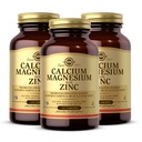 Solgar Wapnia Magnezu Plus Cynk, 100 Tabletki (Opakowanie 3) - Promotes Healthy Bones and Teeth - Wspiera Nerve & Muscle Function - Non- GMO, Wegan, Gluten Free, Dairy Free, Kosher - 100 Razem Sługi