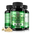Irish Sea Moss Capsules 120ct Surowiec Sea Moss Wildcrafted Bladderwrack Burdock Korzeń kapsułki Super Food Immune System Digestive Health Sea Moss Pills