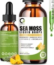 Sea Moss Drops 2000mg, Irish Sea Moss Supplement wspiera odporność, z Black Elderberry, Burdock Root, Bromelain, Witamina C & Cynk, 2 Fl.Oz, Flavor ananasowy