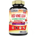 Red Vine Leaf Extract Kapsułki - z kasztanowca, buraka, imbiru - Herbal Supplement for Heart, Leg Vein & Energy - 90 Kapsułki wegetariańskie na 45 dni