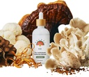 Rainbo - 11: 11 Multi Mushroom Tincture - 11- in-1 Alkohol Free - Dual Extract Mushroom Blend - Kompleksowe wsparcie immunologiczne, Brain Support, Live Lion 's Mane & Turkey Tail, Wegan, Non GMO, 3.4 fl oz