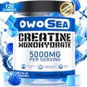 Monowodne gumki dla mężczyzn i kobiet 5000mg Monowodzian kreatyny na serwowanie dla wsparcia mięśni Energy Boost 120 Count Chewable 5g Suplement kreatynowy Supplement Sugar Free Vegan (1 Pack, Blue Malina)