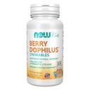Teraz żywności Suplementy, BerryDophilus ™ z 2 Miliard, 10 szczeliny probiotyczne, Xylitol Sweetened, Szczepy zweryfikowane, 60 Chewables, opakowania mogą się różnić