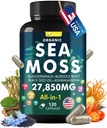 Sea Moss Capsule Complex with Sea Moss, Black Seed Oil, Aşhwagandha, Ginger & Vitamins C, D3- 120 Kapsułki, Superfood Supplements - Advanced Seamoss Pills, Wild Sea Moss Pills, Made in USA