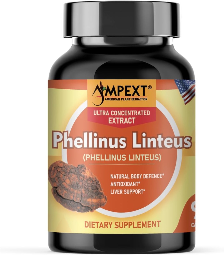 Phellinus linteus Mushroom Extract - Premium Quality, Tylko ciała owocowe, Przeciwutleniacz, Immunitet Booster, Liver Support, 90 Veg Caps.