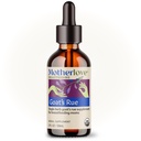 Motherlove Goat 's Rue (2 Ounce Tincture) Suplement do Laktacji dla rozwoju tkanki piersi i optymalizacji dostaw mleka - USDA Certified Organic, Wegan, Kosher, Soy- Free