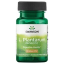 Swanson L. Plantarum - Suplement diety Promowanie równowagi żołądkowo-jelitowej & Regularność jelit - Naturalna formuła, aby pomóc zmniejszyć wzdęcia - (30 Kapsułki wegetariańskie)
