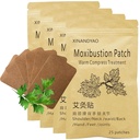 100 Patches Moxibustion Herbal Warming Patch – Mugwort Self-Heating Pads, Comfort for Back, Neck, Shoulder, Knee & Joints, Traditional Chinese Inspired (12 * 8cm)