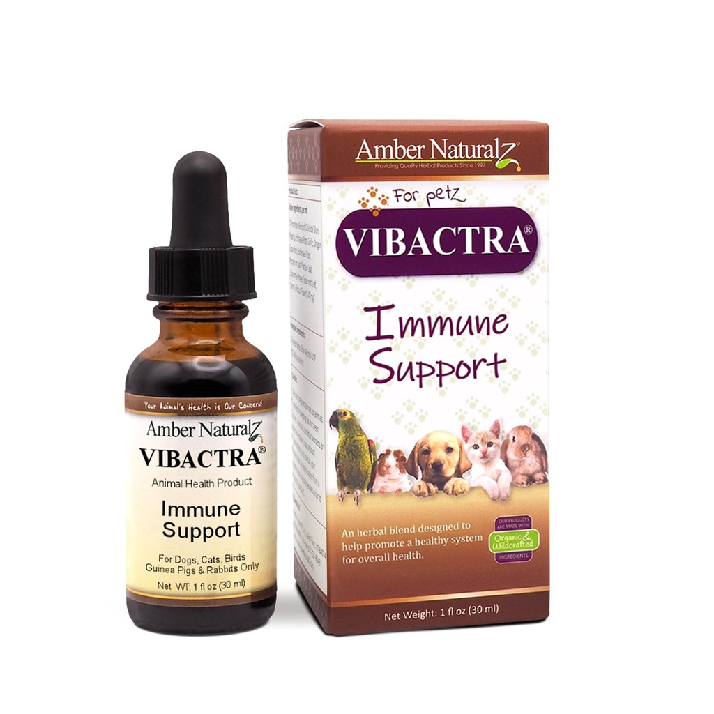 Amber NaturalZ Vibactra Immune Supplement Herbal Supplement for Dogs, Cats, Birds, Guinea Pigs, and Rabbits British 124; Pet Herbal Blend for Overall Health British 124; 1 Fluid Ounce Glass Bottle