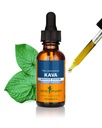 Herb Pharm Organic Kava Liquid Extract for Stress Relief & Relaxation *: Vegan Kava Extract, Non-GMO Kava Kava Tincture for Calm & Relaxed Mood, Gluten- Free, 1 Oz