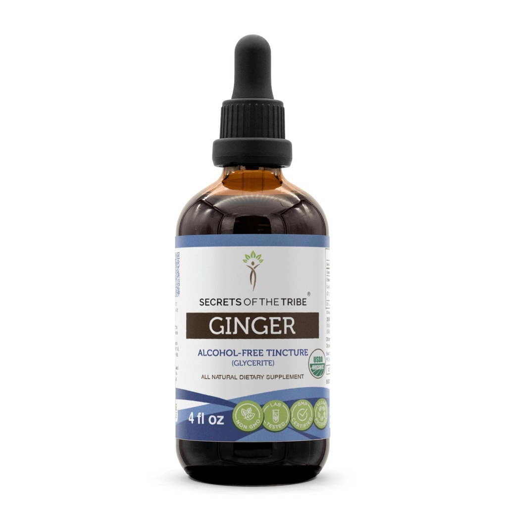 Secrets of the Tribe Ginger USDA Organic | Alcohol-Free Extract, High-Potency Herbal Drops | Made from 100% Certified Organic Ginger (Zingiber officinale) Dried Root (4 oz)