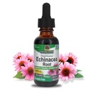 Odpowiedź przyroda Echinacea Alkohol wolny Ekstrakt 1 Płynna uncja 124; Promotuje ogólne Wellness 124; Naturalny Immune Booster 124; Reduktor zapalny