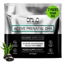 Orlo PRENATAL DHA - Prenatal DHA Omega 3 Supplement - Triple Strength Omega3s - Vegan DHA & EPA Algae Omega-3 Oil - Wspiera rozwój mózgu w czasie ciąży i laktacji (120 Mini Softgels)