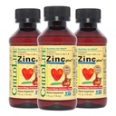ChildDLIFE ESSTENTIALS Liquid Cynk Plus dla dzieci i Toddler - Płynny suplement krople, Glukonian cynku i miedzi dla wsparcia immunologicznego - Mango Truskawka, 4 Fl Oz (Opakowanie 3)