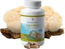 Mushrooms Science Lions Mane Mushroom Kapsułki, Memory & Concentration Support, Full Spectrum Extract, Mushroom Supplement dla dorosłych, Hot Water Extracted Mushrooms, Vegetarian, 300MG, 90