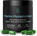Kapsułki Marine Phytoplankton przez Holistic Bin 124; naturalnie uprawiane w Nordic Seawater 124; Vegan Omega 3 Suplement do 124; Bogate w aminokwasy, Chlorofil, Witaminy, & Minerały śladowe