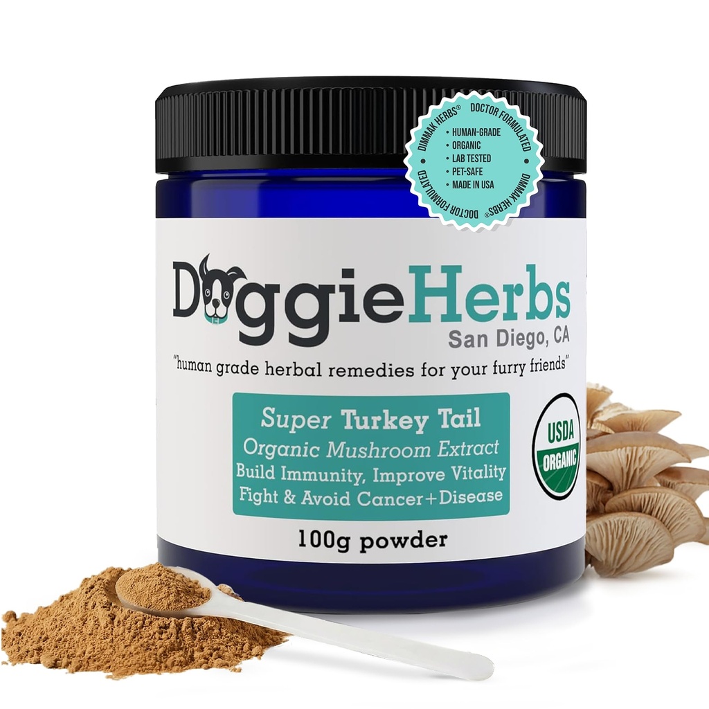 High Potency Turkey Tail Mushroom Extract – 55% Beta-Glucans (Coriolus Versicolor) – Clinical Strength Fruiting Body Powder for Immune Defense & Recovery – 100g