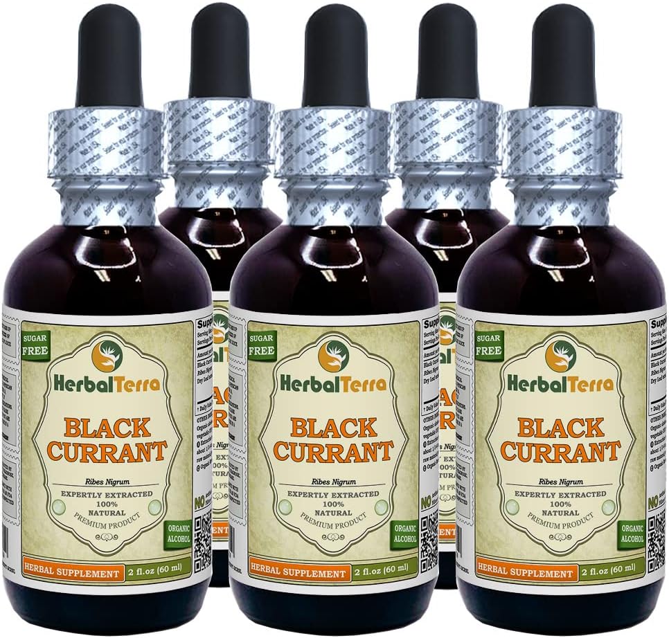 Czarna porzeczka (Ribes nigrum) nalewka, suchy ekstrakt z liści (nazwa marki: HerbalTerra, Proudly Made in USA) 5x2 fl.oz (5x60 ml)