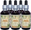 Czarna porzeczka (Ribes nigrum) nalewka, suchy ekstrakt z liści (nazwa marki: HerbalTerra, Proudly Made in USA) 5x2 fl.oz (5x60 ml)