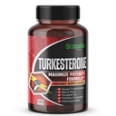 Ultra Turkesterone Ajuga Turkestanica Standaryzowany 20% Turkesterone High Potency z Maca Root Tribulus Terrestris - Muscle Growth Energy Memory Support
