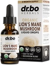 Lions Mane Mushroom Supplement Drops - Organic Lion's Mane Mushroom Liquid Tincture for Focus, Fog Brain Health Supplements - Vegan Herbal Nervine Nootropic Organic Lions Liquid Supplement Extract 1oz