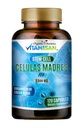 Celulas Madres AFA Stem Natural Cell 120 kapsułki 1000 mg Blue Green Algae Non GMO Gluten Free Aphanizomenon Flos- aquae celula Suplement Madre