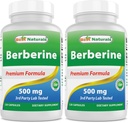 Najlepszy przyrząd Berberine 500 mg 120 Kapsułki - Wspomaga funkcje immunologiczne, sercowo-naczyniowe i żołądkowo-jelitowe (120 liczenie (opakowanie po 2))