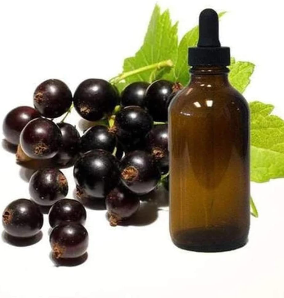 Olej z nasion czarnej porzeczki 1 / 4oz Próbka