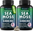 Sea Moss kapsułki - Irish Sea Moss Advanced z Burdock Root, Bladderwrack & Muira Puama dla odporności, Gut, & Energy - Superfood Sea Moss Suplementy w / Surowy Sea Moss proszku (2 Pack)