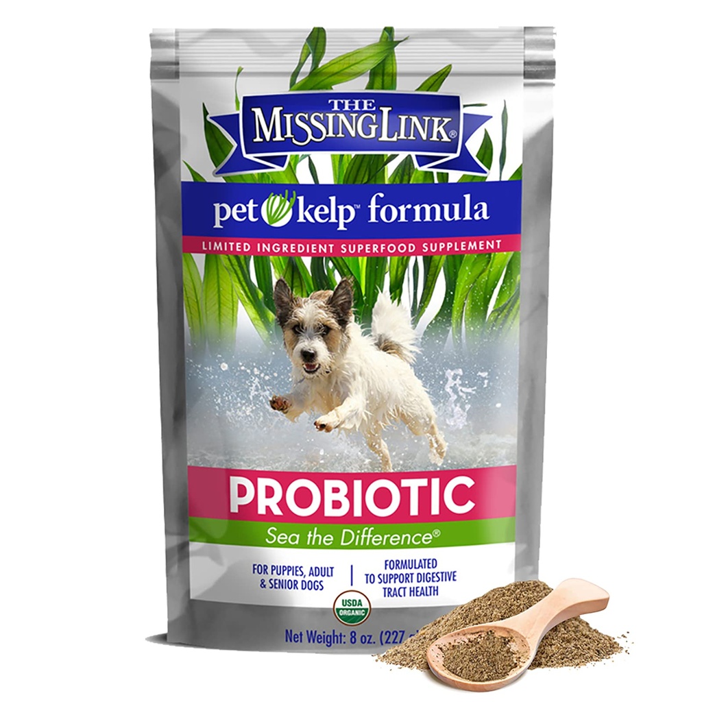 Brakujące Link Pet Kelp Pszczoła Probiotyk 8oz Superfood suplement proszkowany, Organic & Limited Formuła składników dla zdrowia psów trawiennych